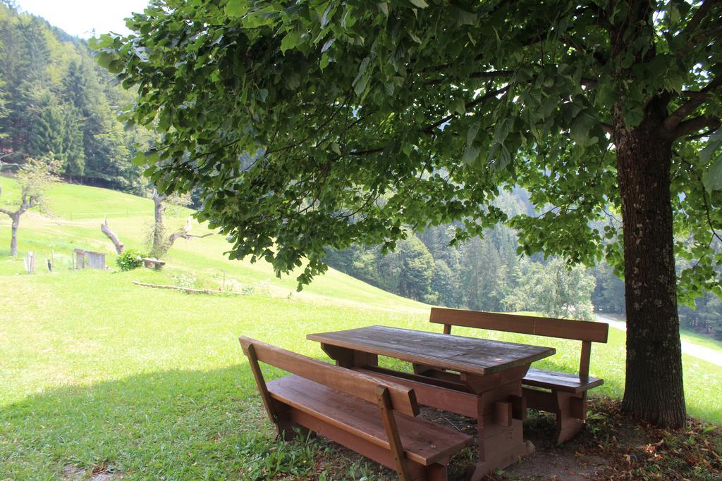 Ferienwohnung Domacija Za Robom Cerkno Exterior foto