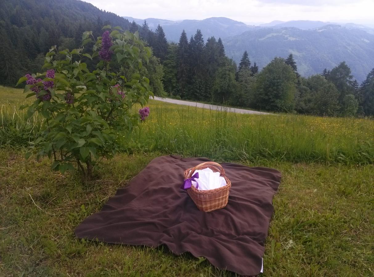 Ferienwohnung Domacija Za Robom Cerkno Exterior foto