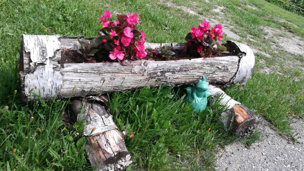 Ferienwohnung Domacija Za Robom Cerkno Exterior foto